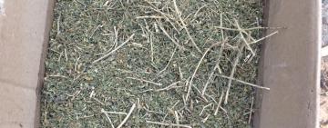 Поліцейські викрили жителів Болградського району у зберіганні наркотиків 